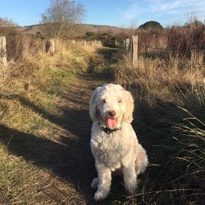 Meet your Posher, Kim